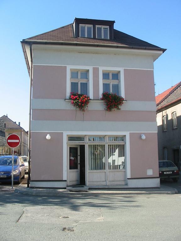 Penzion Orchidea Opočno Eksteriør billede
