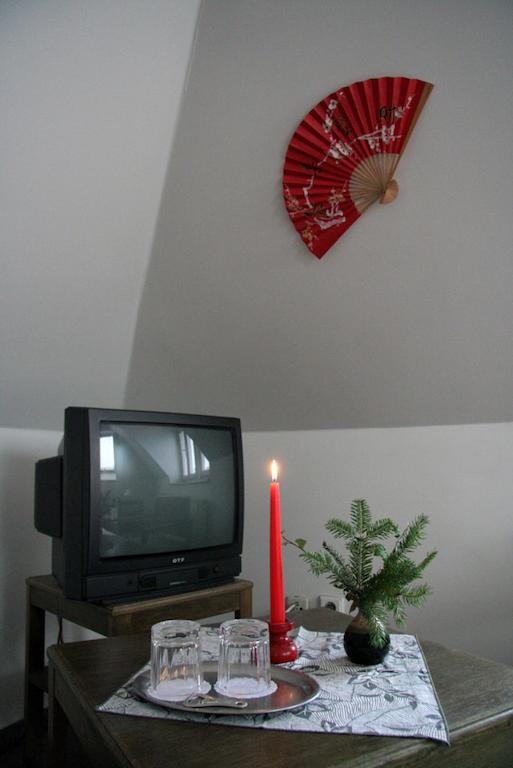 Penzion Orchidea Opočno Eksteriør billede